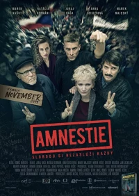 Постер фильма: Амнистия