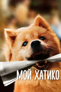 Постер фильма: Мой Хатико