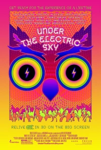 Постер фильма: EDC 2013: Under the Electric Sky