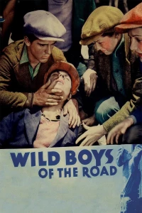 Постер фильма: Дикие парни с дороги