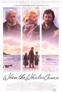 Постер фильма: Когда прибывают киты