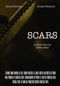 Постер фильма: Scars