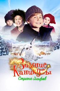 Постер фильма: Зимние каникулы: Страна эльфов