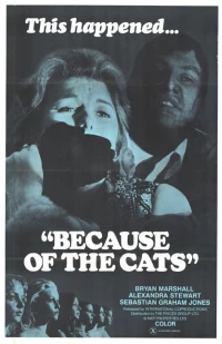 Постер фильма: Из-за кошек