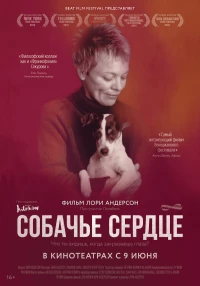 Постер фильма: Собачье сердце