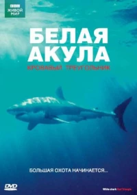 Постер фильма: BBC: Белая акула. Кровавый треугольник