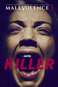 Постер фильма: Злоумышленник 3: Убийца