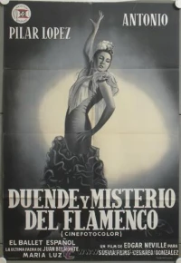 Постер фильма: Duende y misterio del flamenco