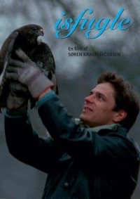Постер фильма: Ледяные птицы