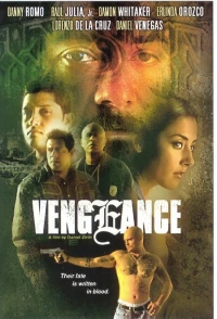 Постер фильма: Vengeance
