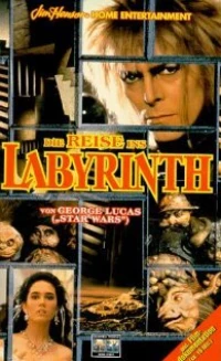 Постер фильма: Inside the Labyrinth