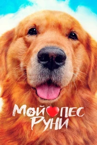 Постер фильма: Мой пёс Руни