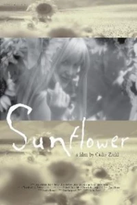 Постер фильма: Sunflower