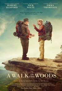 Постер фильма: Прогулка по лесам