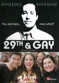 Постер фильма: Двадцатидевятилетие гея