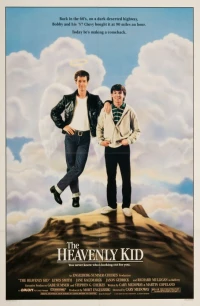 Постер фильма: Парень с небес