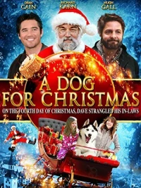 Постер фильма: A Dog for Christmas