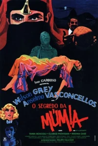 Постер фильма: Секрет мумии