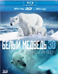 Постер фильма: Полярные медведи
