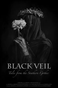 Постер фильма: Black Veil