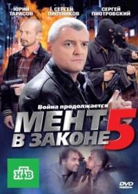 Постер фильма: Мент в законе 5