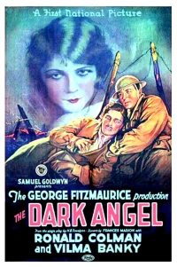 Постер фильма: Темный ангел