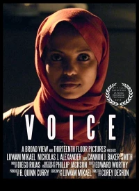 Постер фильма: Voice