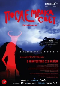 Постер фильма: После мрака свет