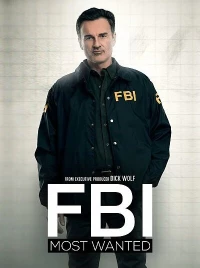 Постер фильма: ФБР: Самые разыскиваемые преступники