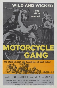 Постер фильма: Банда мотоциклистов