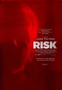 Постер фильма: Риск