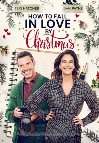 Постер фильма: Как влюбиться к Рождеству