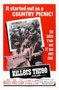 Постер фильма: Трое убийц