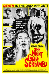 Постер фильма: Ночь, когда закричал Бог
