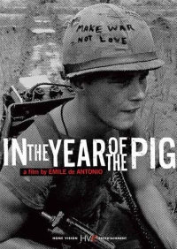 Постер фильма: В год свиньи