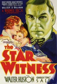Постер фильма: Звездный свидетель
