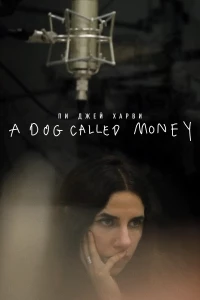 Постер фильма: Пи Джей Харви: A Dog Called Money