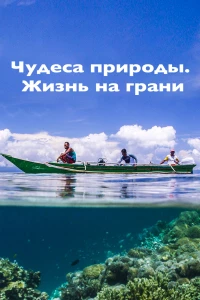 Постер фильма: Чудеса природы. Жизнь на грани