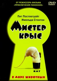 Постер фильма: Мистер крыс