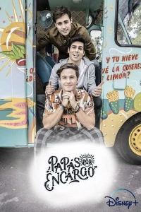 Постер фильма: Papás por Encargo