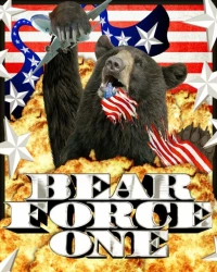 Постер фильма: Bear Force One