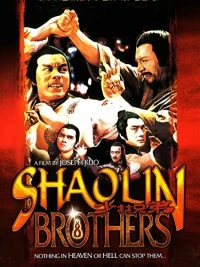 Постер фильма: Братья Шаолиня