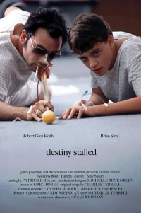 Постер фильма: Destiny Stalled