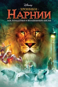 Постер фильма: Хроники Нарнии: Лев, колдунья и волшебный шкаф