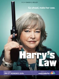 Постер фильма: Закон Хэрри