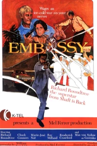 Постер фильма: Посольство