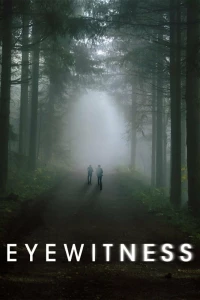 Постер фильма: Свидетели