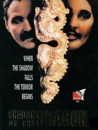 Постер фильма: Тень дракона