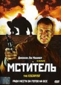 Постер фильма: Мститель