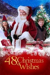 Постер фильма: 48 рождественских желаний